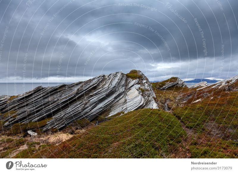 Barents Sea coast Vacation & Travel Tourism Far-off places Ocean Nature Landscape Elements Water Sky Clouds Storm clouds Bad weather Rain Moss Rock Coast Stone