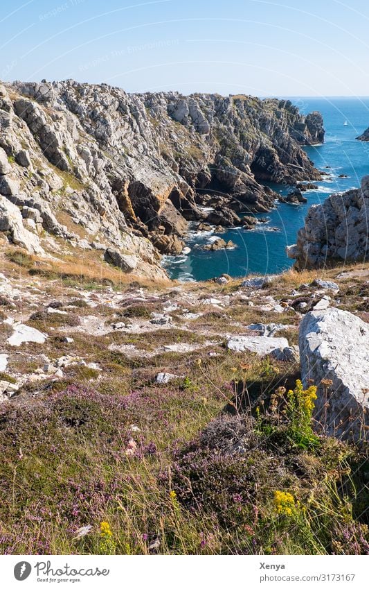 Brittany - Pointe de Pen-Hir cliffs Nature Landscape Ocean Summer Rock Exterior shot Deserted Day Coast vacation Vacation & Travel Beautiful weather