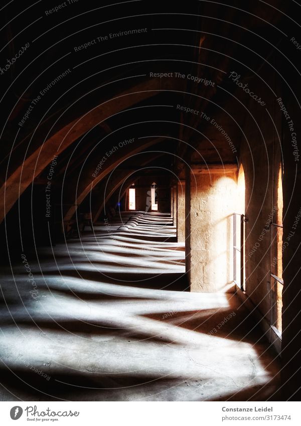 Light and shadow Wells Somerset Great Britain Church Dome Manmade structures Building Architecture Wall (barrier) Wall (building) Roof Tourist Attraction