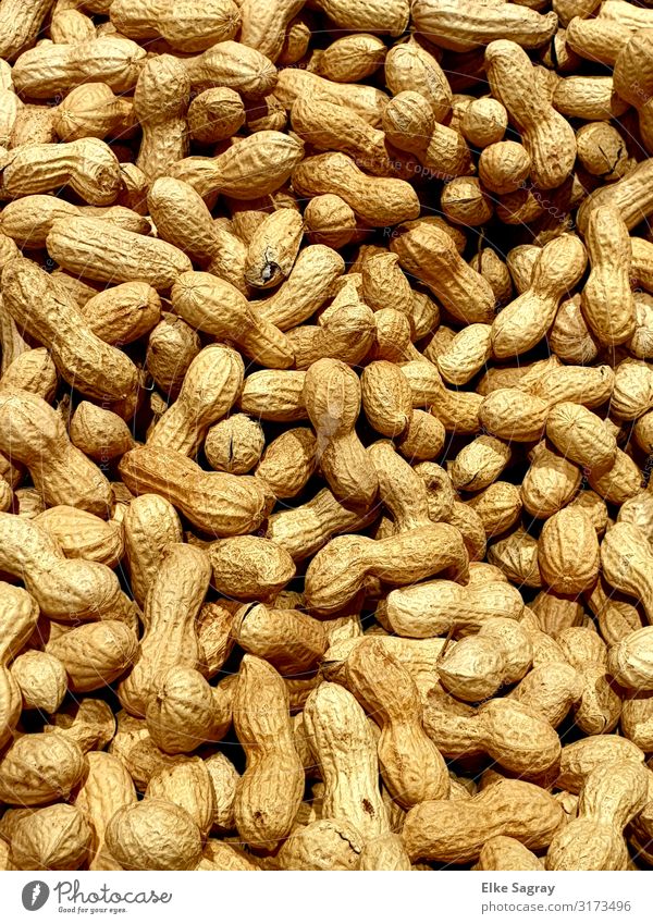 Shopping without packaging waste, peanuts without plastic Food Peanut Original Beginning Advancement Healthy Moral Nature Survive Colour photo Interior shot