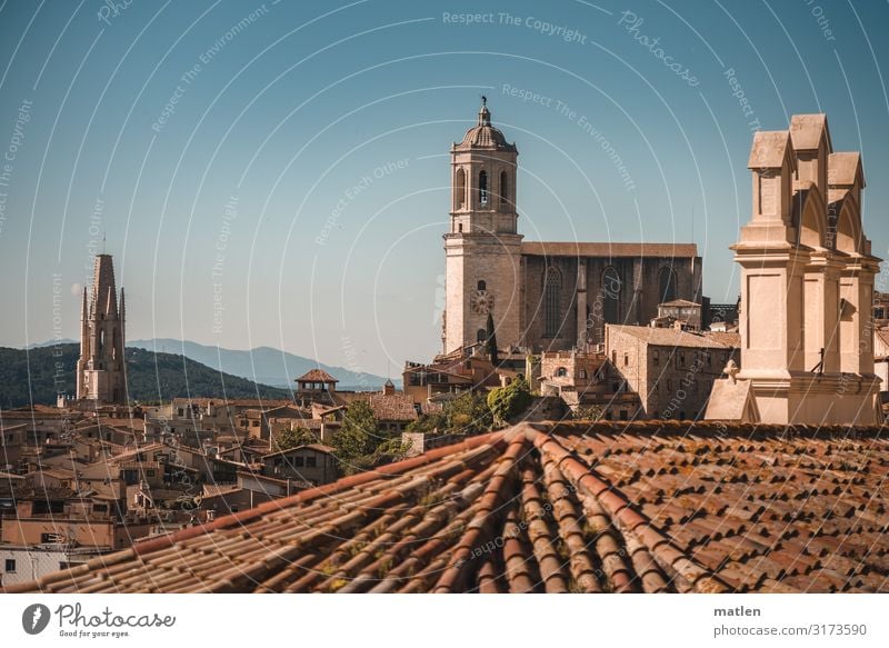 old town Town Downtown Old town Deserted House (Residential Structure) Church Dome Architecture Wall (barrier) Wall (building) Facade Roof Chimney