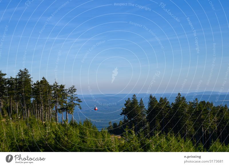 Wurmberg cable car Nature Landscape Cloudless sky Horizon Autumn Beautiful weather Forest Rock Mountain Brocken Snowcapped peak Cable car Ski lift Idyll