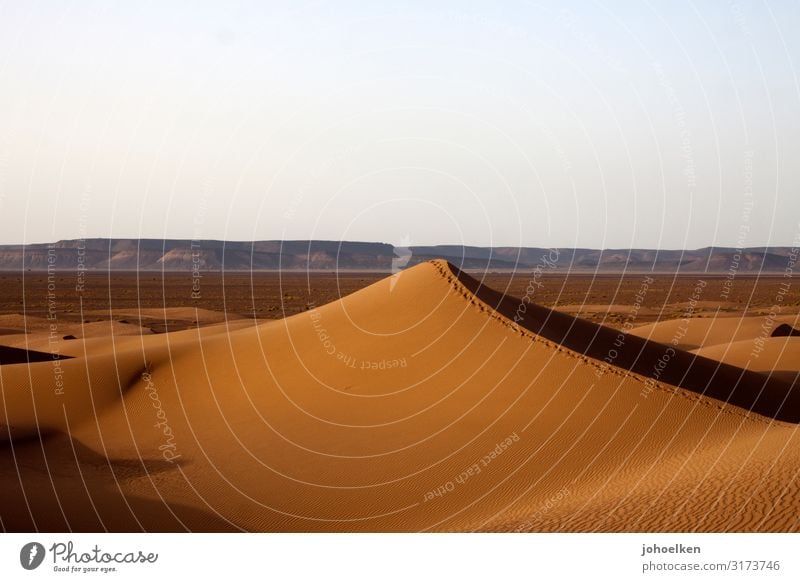 Sandcastle II Landscape Cloudless sky Desert Sahara Dune Morocco Africa Deserted Far-off places Infinity Hot Dry Warmth Soft Loneliness Vacation & Travel