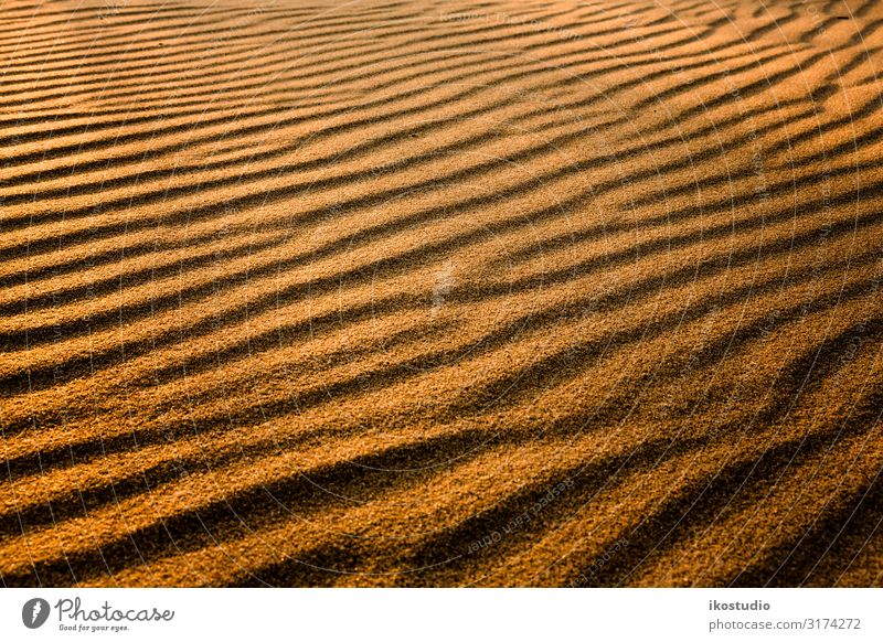 Golden Sand sand beach background closeup coast tropics natural tropical sand texture abstract arid marine sandy beach gold dunedeserts nature coastline