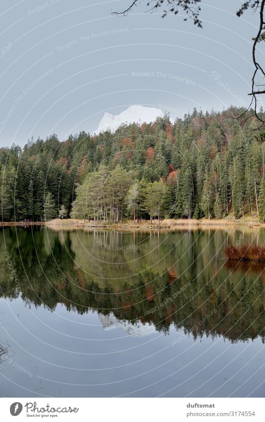 Lake Mösern Well-being Contentment Swimming & Bathing Environment Nature Landscape Water Autumn Tree firs Forest Alps Snowcapped peak Coast Lakeside Island