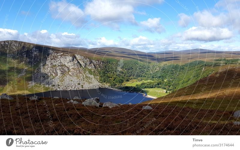 Lough Tay - Ireland Landscape Autumn Beautiful weather Hill Rock Mountain Lakeside Relaxation Calm Vacation & Travel Northern Ireland Guinness Lake Impression