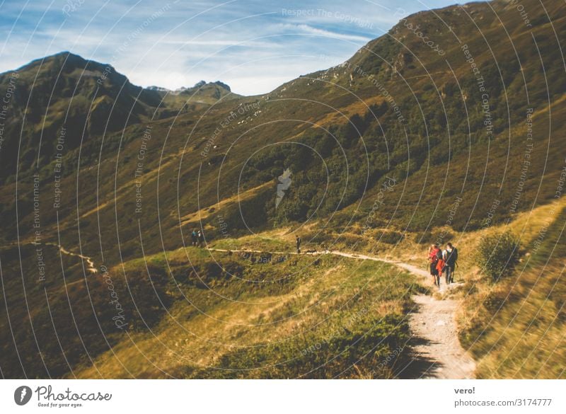 Path in the green mountains with hikers Mountain Hiking Human being Autumn Beautiful weather Alps Movement Discover Relaxation Going Together Happy naturally