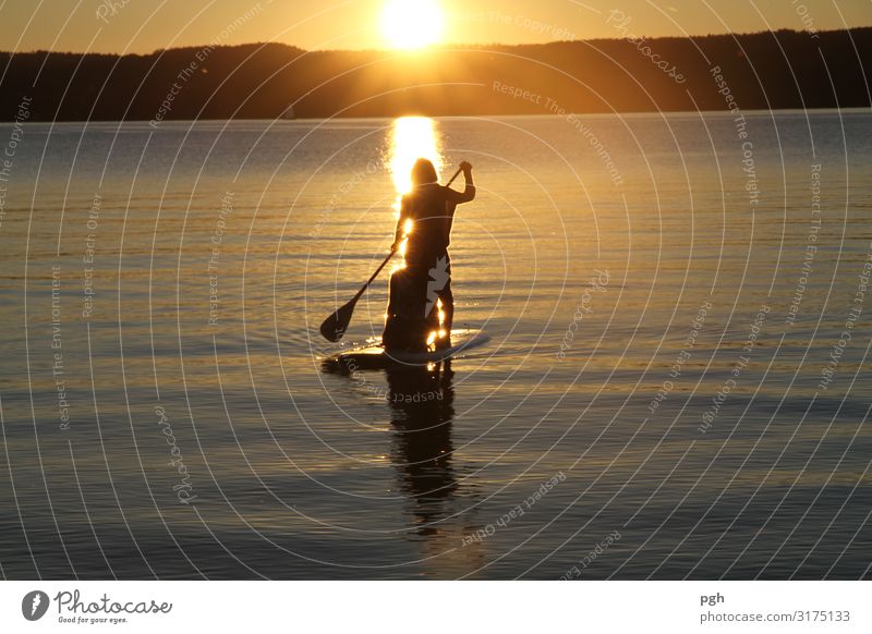 Soups at sunset Feminine Young woman Youth (Young adults) Life Environment Water Autumn Climate Beautiful weather Lakeside Watercraft Movement Relaxation