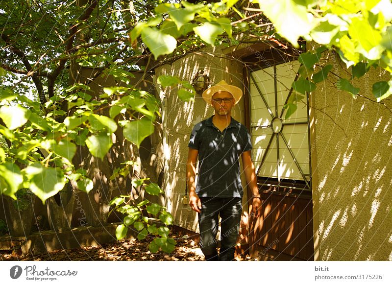 Under the canopy. Masculine Environment Nature Garden Hut Walking Gardener Light Shadow Contrast Reflection Light (Natural Phenomenon) Sunlight Sunbeam