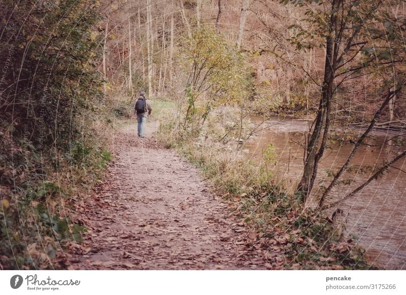 photograph at the phluß Leisure and hobbies Nature Landscape Elements Water Autumn Tree Bushes Forest River bank Hiking Photographer Canyon ice raviole Germany