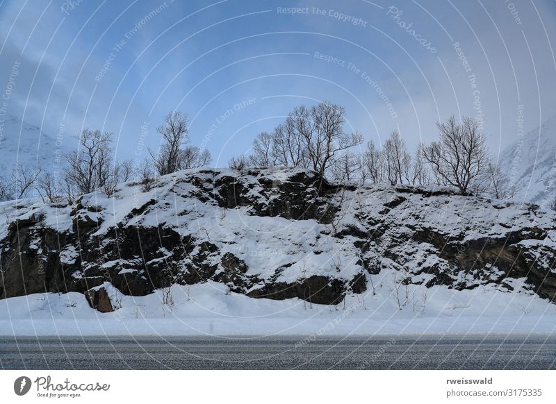 Rocks in Lobergsbukta-Gullesfjord. Gullesfjordbotn-Hinnoya-NO-74 Ocean Winter Snow House (Residential Structure) Environment Nature Landscape Plant Earth Air