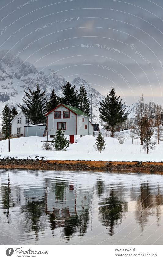 Cabins reflected-Vestpollen hamlet-Austvagoya-Lofoten-Norway-096 Calm Fishing (Angle) Vacation & Travel Tourism Trip Sightseeing Ocean Island Winter Snow