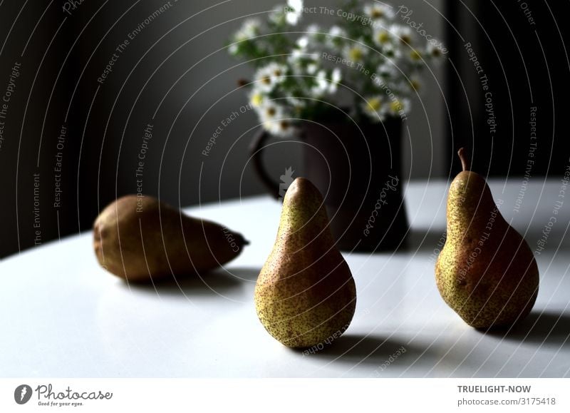 Two upright and one lying abate pear on a white round table with a brown mug, in which small white flowers in front of a grey wall catch the daylight coming in from the side