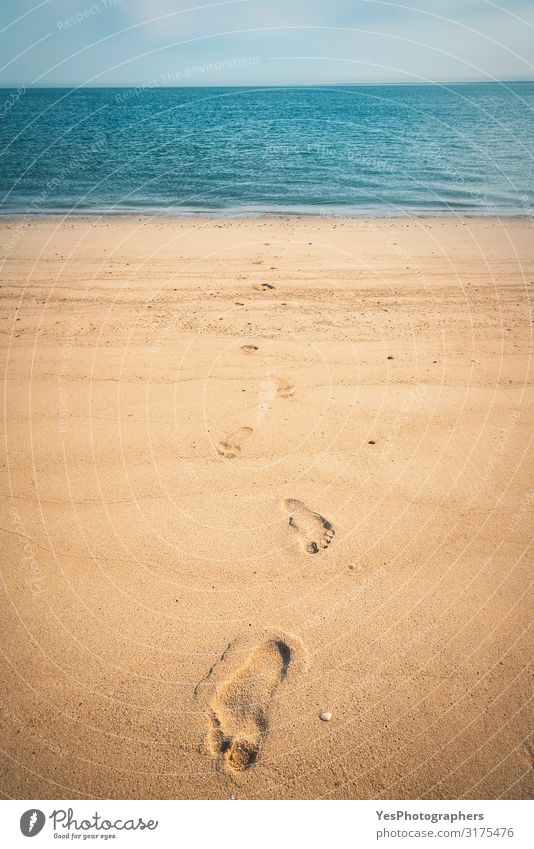 Footprints on golden sand at the North sea beach on Sylt island Relaxation Vacation & Travel Summer Beach Ocean Nature Landscape Sand Climate change North Sea