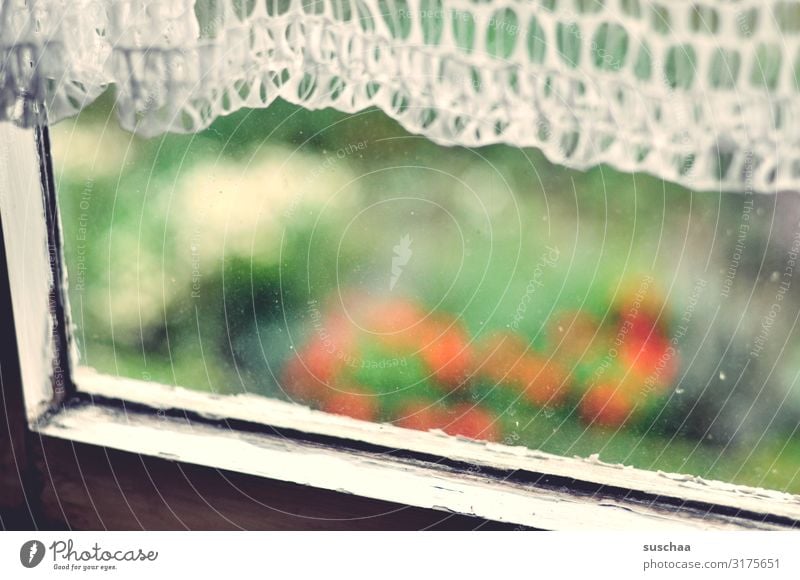 window look Window Glass Pane Curtain Drape Garden Blur Window frame Old Derelict Forget Memory Nostalgia Childhood memory Sentimental Emotions Moody Time