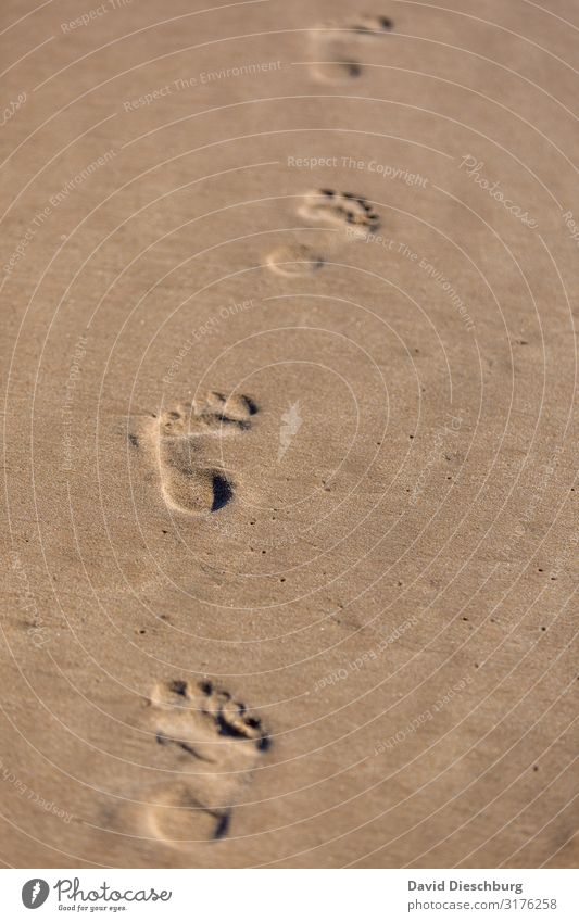 tracks Vacation & Travel Far-off places Summer vacation Sunbathing Nature Sand Spring Beautiful weather Waves Coast Beach Bay Ocean Island Advancement Idyll