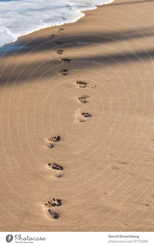 off to the sea Healthy Wellness Relaxation Vacation & Travel Tourism Summer vacation Sunbathing Nature Landscape Sand Water Spring Beautiful weather Waves Coast