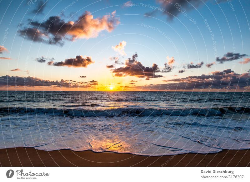 Beach in Bahia Vacation & Travel Tourism Far-off places Nature Landscape Sand Water Sky Clouds Spring Summer Beautiful weather Waves Coast Bay Ocean Island