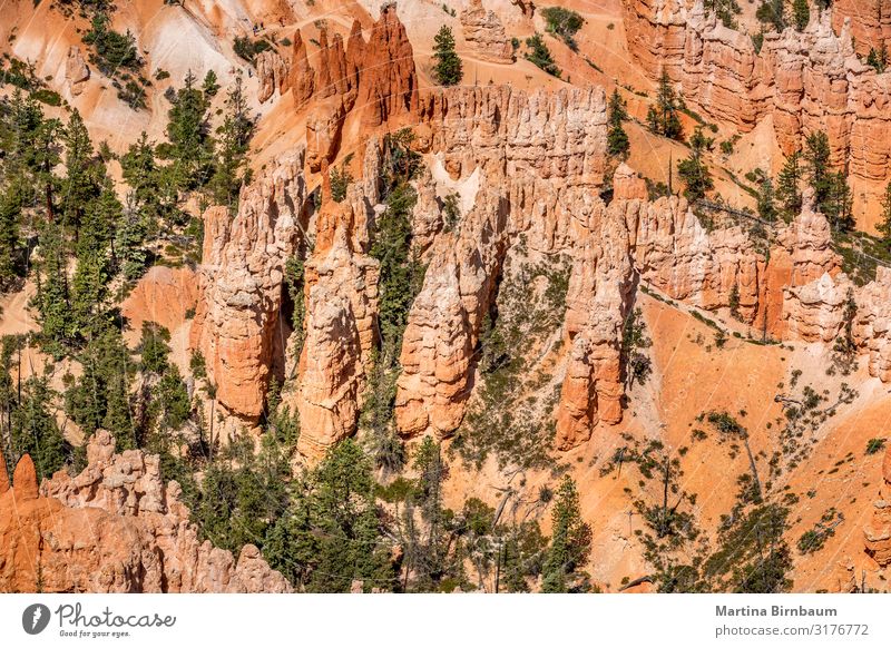 Hoodoo formation at Bryce Canyon National Park, Utah Vacation & Travel Mountain Nature Landscape Sky Rock Monument Stone Gold Red Serene bryce point national