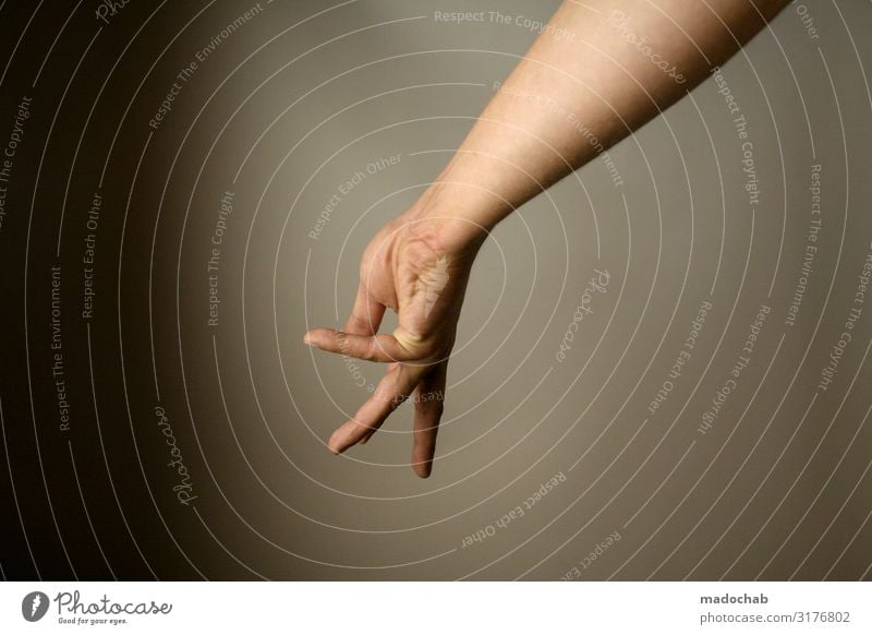 hand puppet Body Skin Arm Hand Fingers Sign Esthetic Sign language Communicate Colour photo Subdued colour Multicoloured Studio shot Deserted Copy Space left