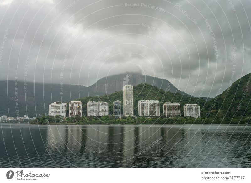 Rio De Janeiro Environment Nature Landscape Plant Storm clouds Bad weather Wind Gale Rain Thunder and lightning Virgin forest Rio de Janeiro Brazil