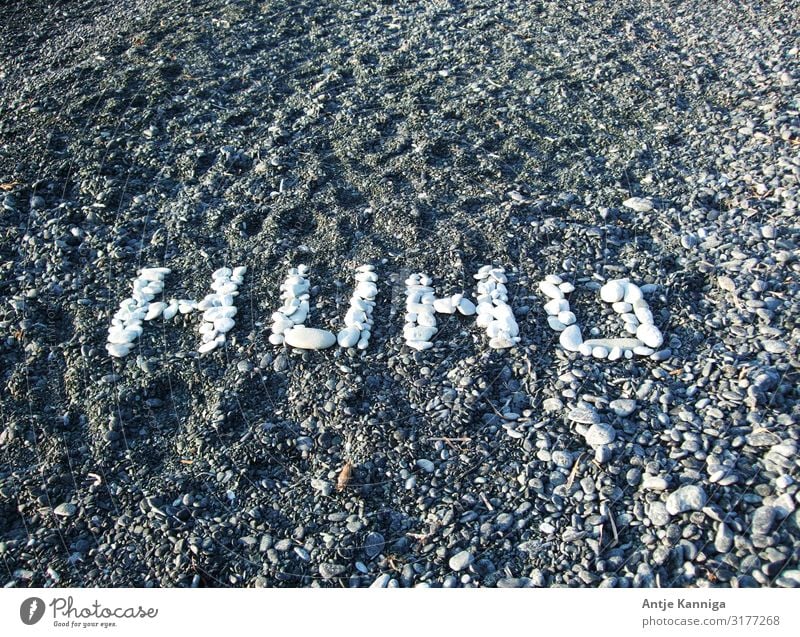 Beach_Typography Flirt Storm clouds Sunlight Stone Characters Communicate Exceptional Happiness Funny Positive Joie de vivre (Vitality) Curiosity Expectation