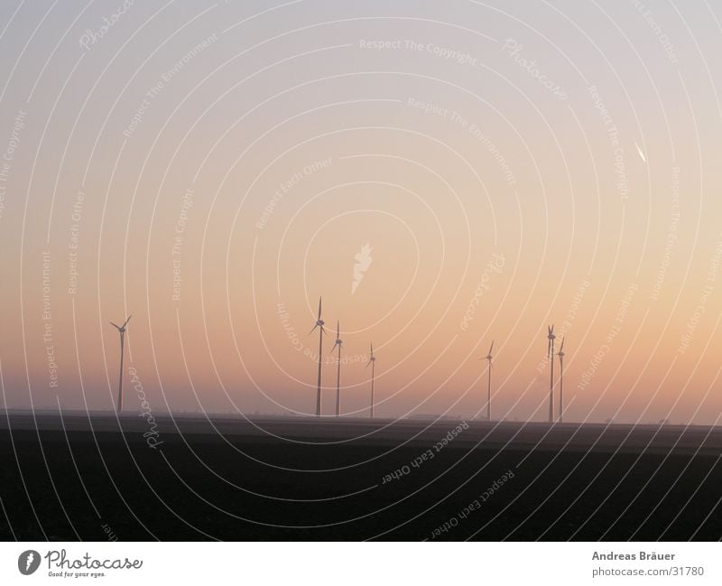 Wind farm in the evening light Sunset Twilight Electricity Alternative Renewable Ecological Subsidy Expenditure Environment Back-light Electrical equipment