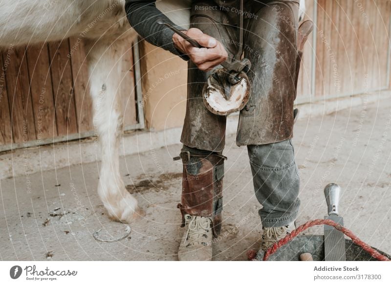 Man shoeing horse near stable Blacksmith Horseshoe Stable Ranch Hammer putting on Work and employment Hoof Tool Iron Animal farrier Equipment Profession skill