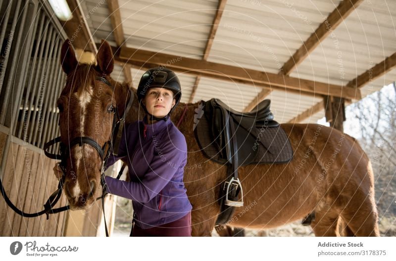 Woman and girl brushing horse Girl Horse Bridle Stable Stall Lessons Horseback riding Ranch Animal Youth (Young adults) Child Considerate Equipment