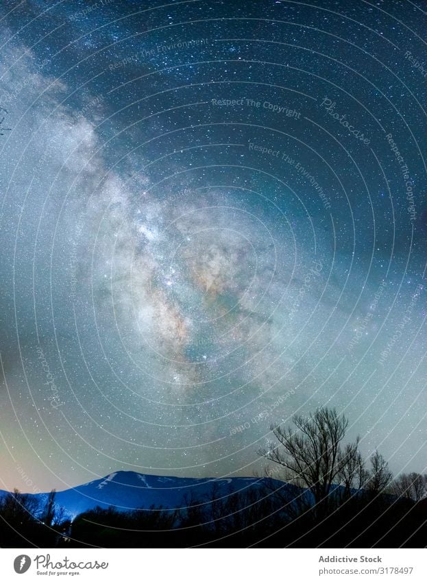 Mountains landscape under milky way sky Milky way Sky starry Tree Landscape Night Grass Dry Cosmos Earth Dark Bare Wild Wood Galaxy Nature Silhouette Universe