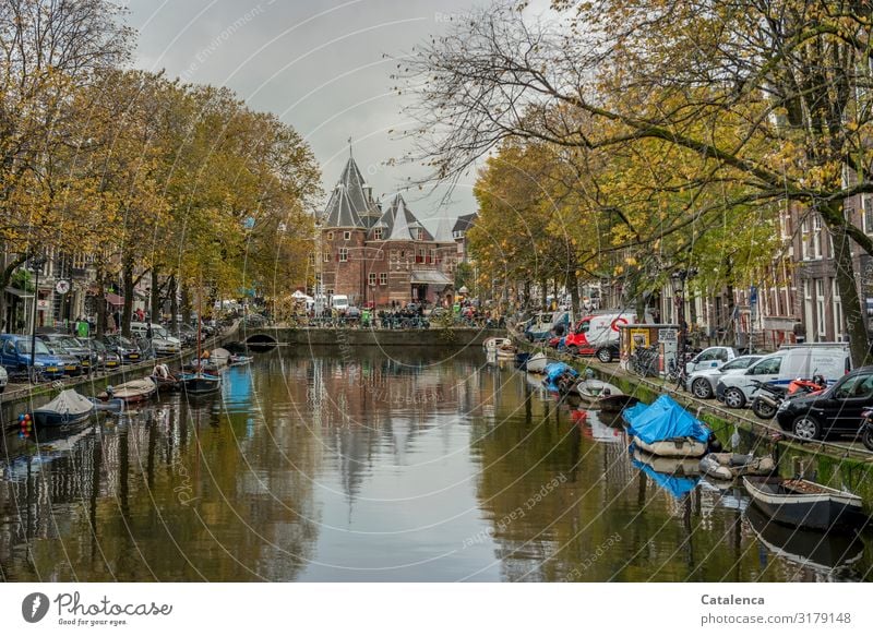 November in Amsterdam, view of a canal Landscape Plant Sky Clouds Autumn Bad weather Tree Netherlands Town Old town Populated House (Residential Structure)