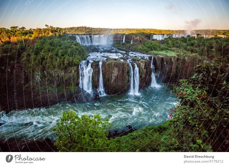 Iguazu Vacation & Travel Tourism Adventure Far-off places Expedition Nature Landscape Plant Animal Water Cloudless sky Beautiful weather Tree Virgin forest