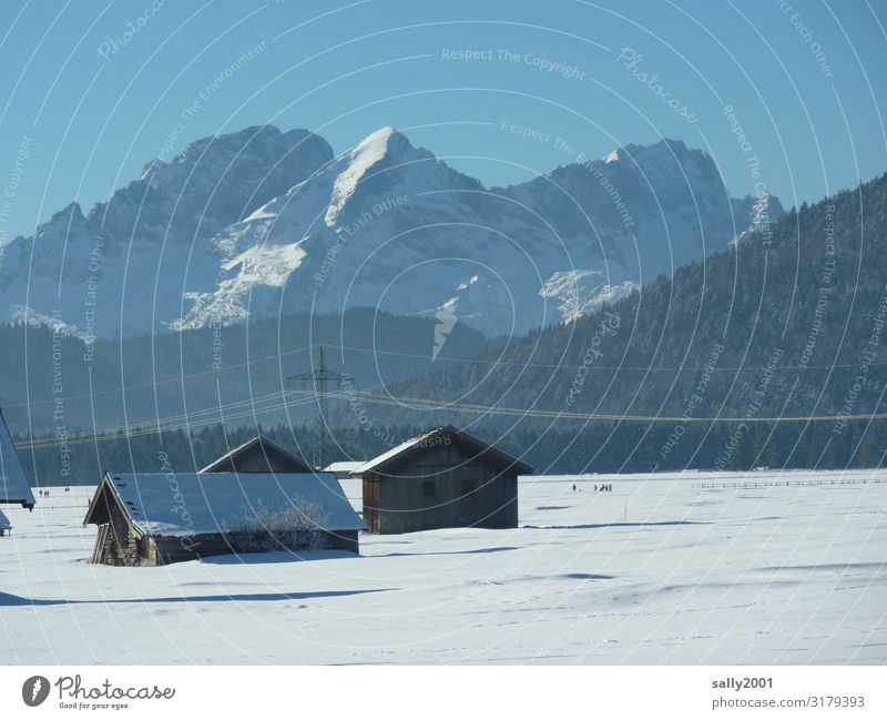 winter wonderland Landscape Cloudless sky Winter Beautiful weather Snow Alps Mountain Cold Contentment Loneliness Relaxation Idyll Nature Far-off places Bavaria