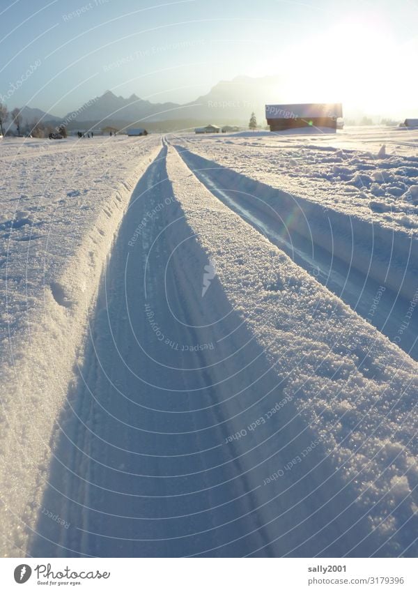 cross-country skiing pleasure... Sports Winter sports Cross country skiing Sporting Complex Cross-country ski trail Nature Beautiful weather Snow Alps Mountain