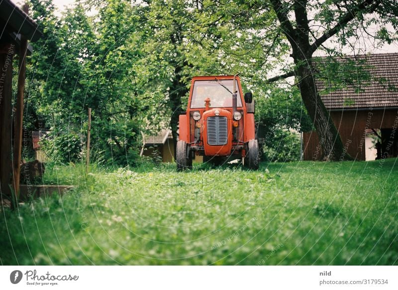 Old tractor in green Tractor Agriculture Farm agriculturally Machinery Rural Equipment Vintage car Slovenia Green Nature Analogue photo Kodak