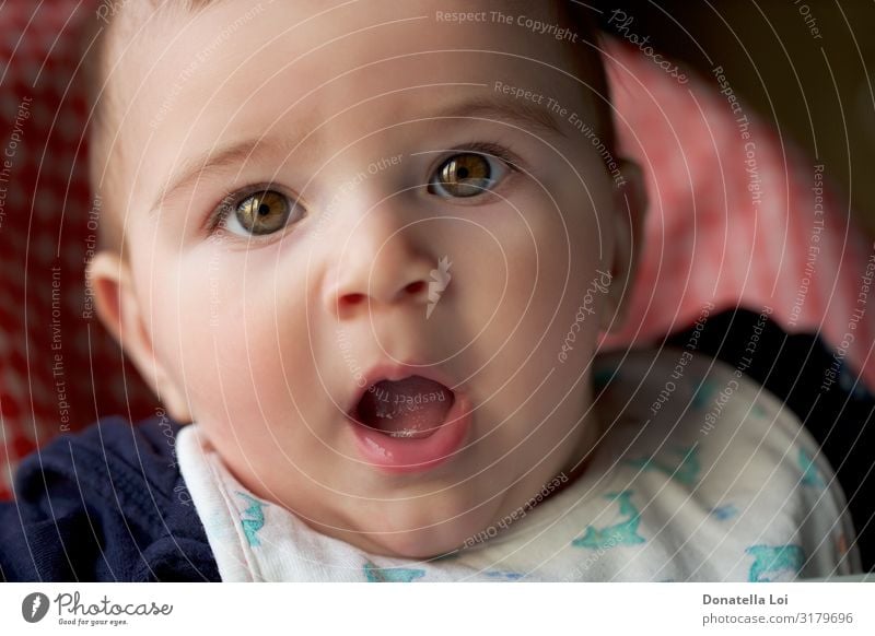 Portrait of baby boy Lifestyle Beautiful Child Human being Masculine Baby Head 1 0 - 12 months Bald or shaved head Small Rebellious Surprise Caucasian