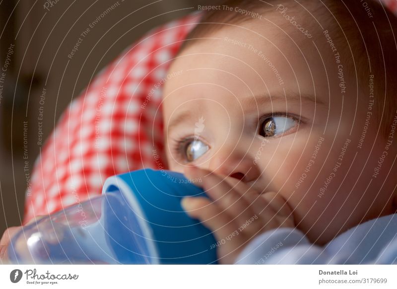 portrait of baby boy drinking from the bottle Nutrition Breakfast Beverage Drinking water Bottle Beautiful Child Baby Short-haired Plastic Feeding Small Infancy