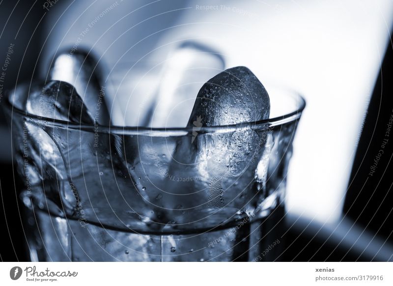 Glass with ice sticks Beverage Drinking Cold drink Drinking water Alcoholic drinks Ice cube Night life Bar Cocktail bar Subdued colour Studio shot Close-up