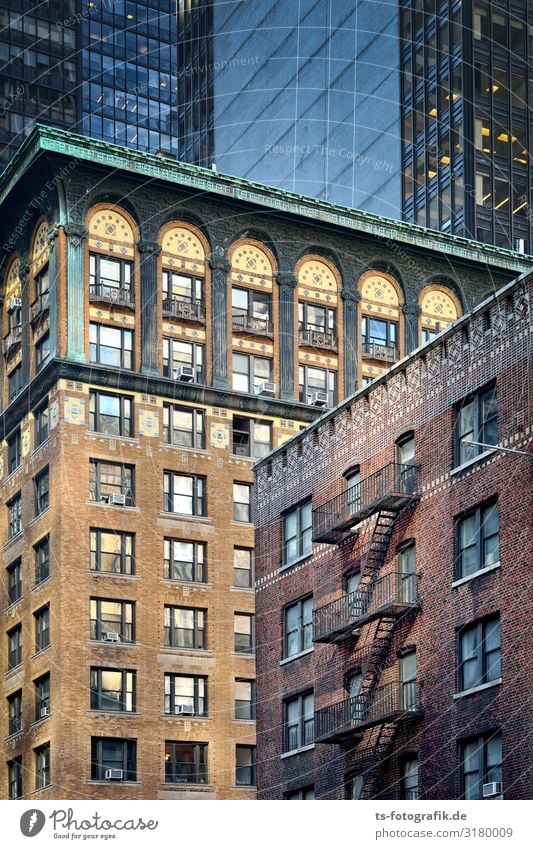 Rental shark in a porridge New York City Manhattan USA Town Downtown Deserted House (Residential Structure) High-rise Tower Manmade structures Building