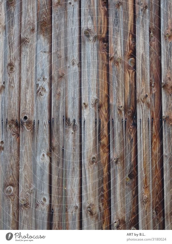 not just a board Agriculture Forestry Craft (trade) Hut Manmade structures Facade Scales Wood Brown Colour photo Subdued colour Exterior shot Deserted