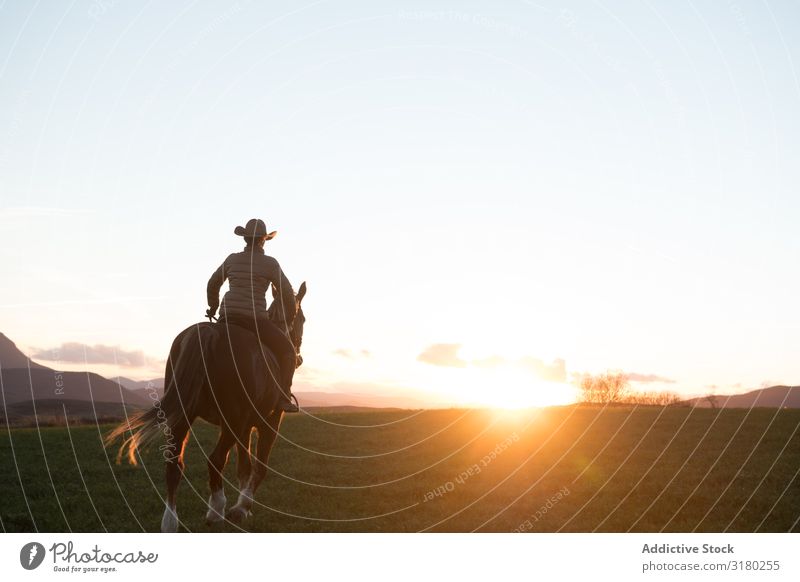 Man and woman riding horses Beautiful Joy Professional Relaxation Landscape Farm Dusk Action Ranch Lifestyle Rear view Horizontal Sunset Horseback Fitness Sky