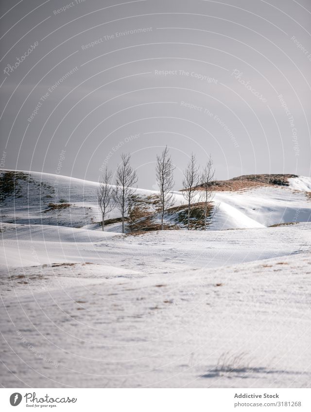 Snowy mountains covering with the fog Hill Fog Covering stockness Vacation & Travel Tourism Nature Iceland Landscape Beautiful Natural Amazing scenery Mountain