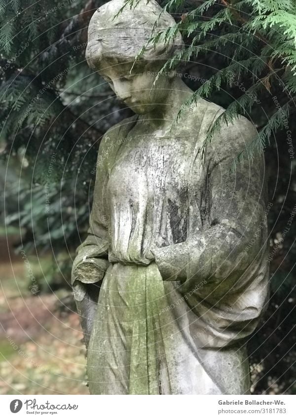 melancholy Sculpture Park Stone To console Calm Religion and faith Transience Subdued colour Exterior shot