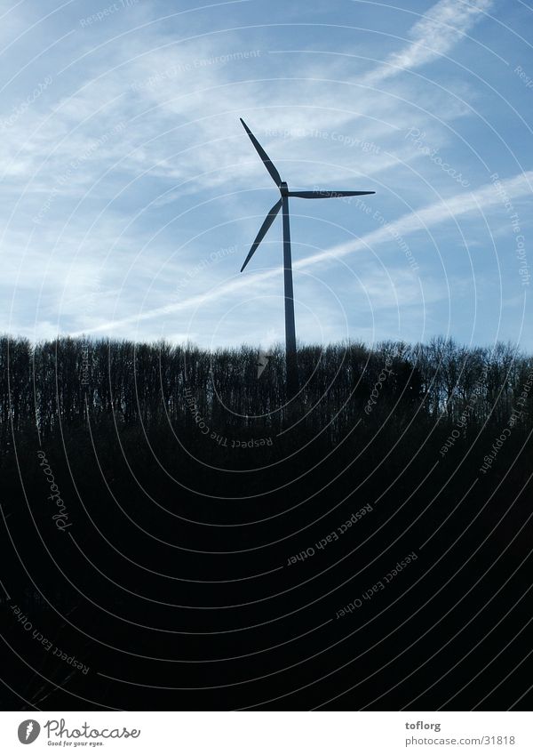 windmill Forest Individual Industry Renewable energy Power Sky Graffiti