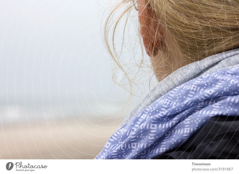 Perennial | Looking at the sea Ocean North Sea Woman Head Hair and hairstyles Rag look look at the sea Denmark Vacation & Travel Beach Sky tranquillity