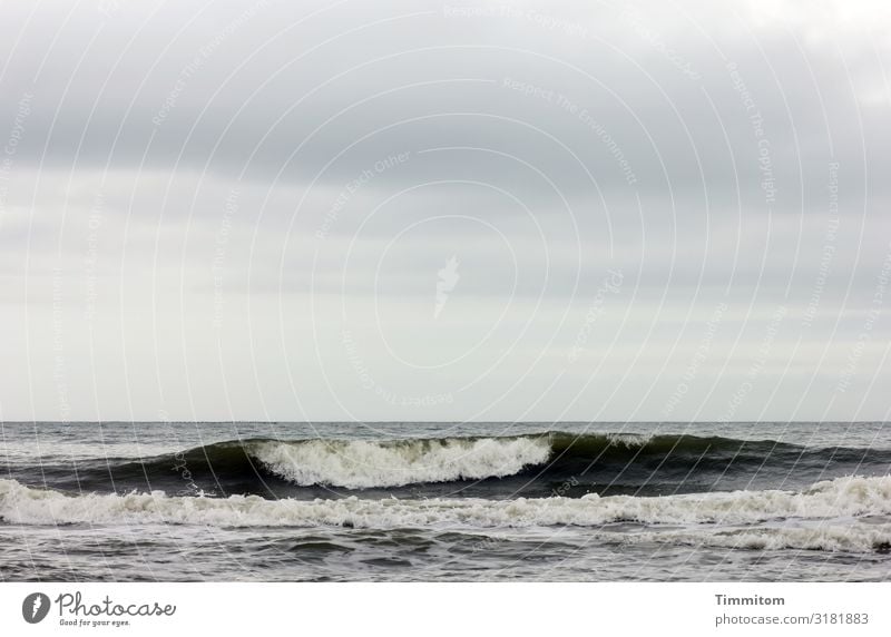 North Sea, sky and dark wave Sky Swell Water White crest Denmark Clouds Waves Deserted Exterior shot Nature Elements Blue Gray Black Horizon