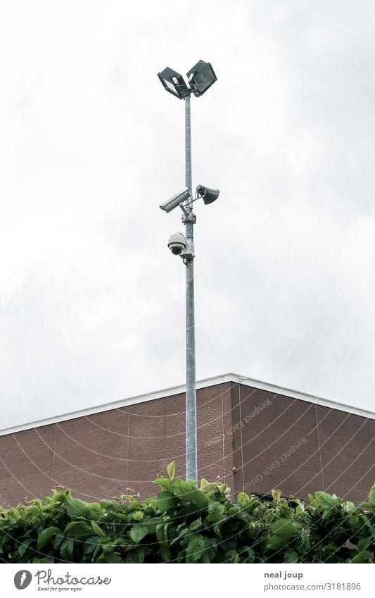 I spy -II- Video camera Surveillance camera Hedge Facade Observe Creepy Tall Curiosity Town Gray Green Peaceful Watchfulness Conscientiously Truth Honest