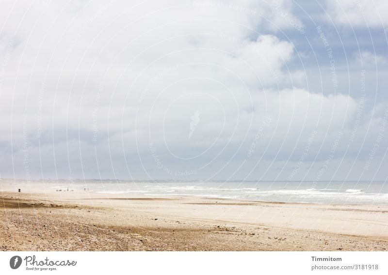 North Sea beach - vastness and a lot of sand in the air Denmark Beach Sand Ocean Water coast Waves dunes Sky Weather Clouds Wind Nature Vacation & Travel