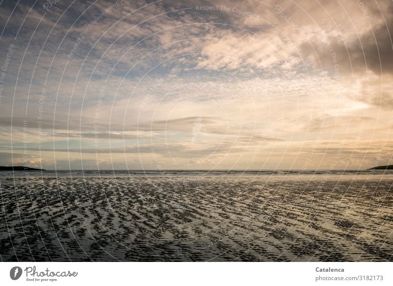 At low tide the seabed appears, it is evening. Freedom Beach Ocean Hiking Environment Nature Landscape Sand Water Sky Clouds Horizon Weather Bad weather Hill