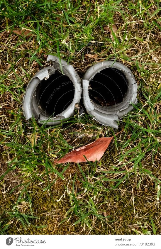 A deep smile Face Lipstick Grass Leaf Smiling Looking Authentic Brash Happiness Hip & trendy Broken Trashy Town Green Red Optimism Uniqueness Sustainability